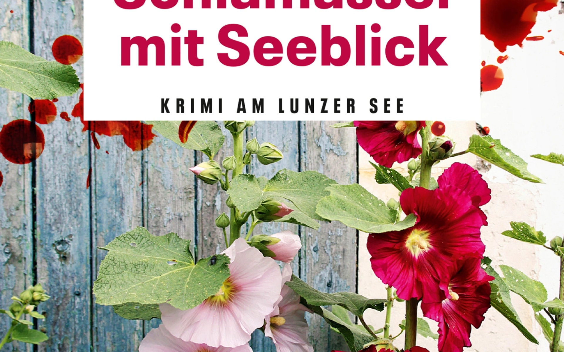 Schlamassel mit Seeblick von Barbara Smrzka